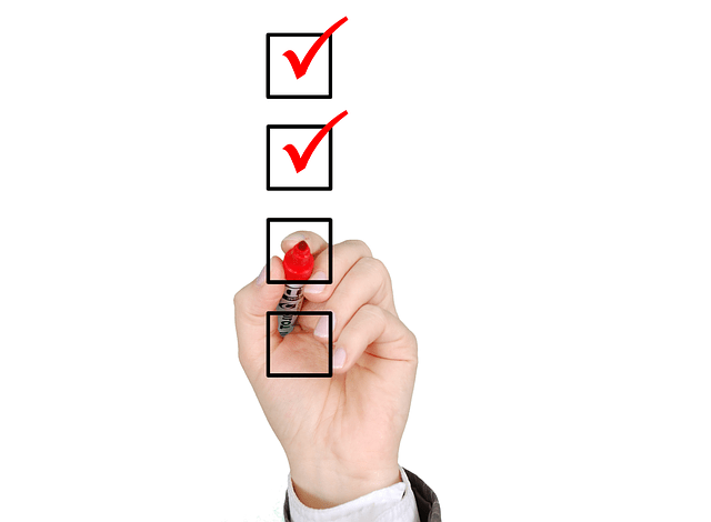 Checklist Icon